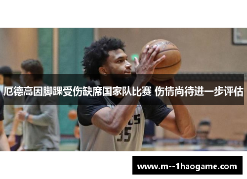 厄德高因脚踝受伤缺席国家队比赛 伤情尚待进一步评估